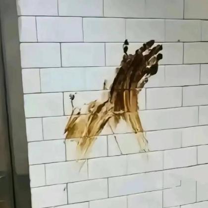 ЭмильДрочун