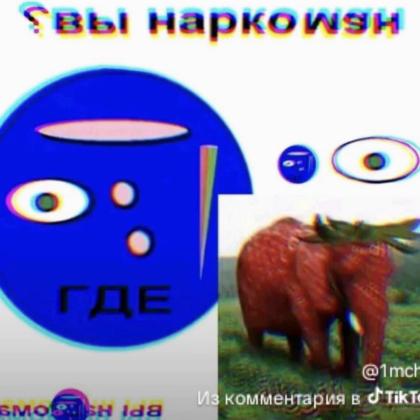 какаха739391