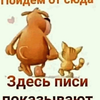 ШИНШИЛА4