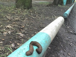 Говно в перспективе