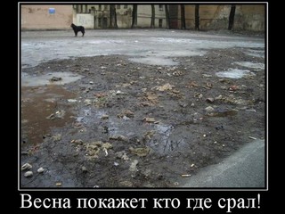 весна покажет кто где серил