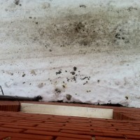 А из нашего окна куча говнеца видна )