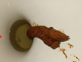 Любимая какашка