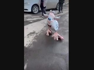 Что то поет песню