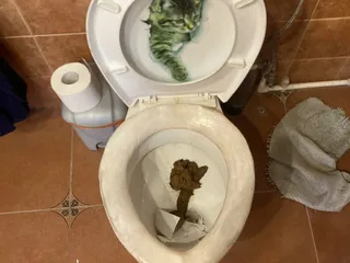 Говнище