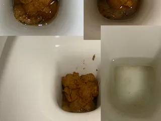 Рекордное количество