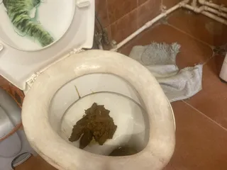 Большая