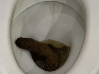 член