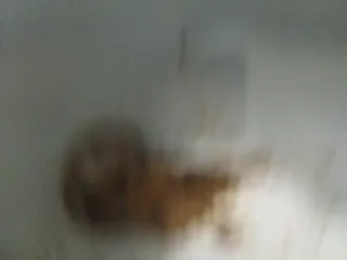 Мягкая какашка 3