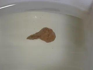 Мини кака
