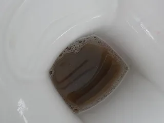 Анус в деле!
