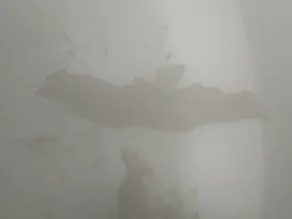 Какашка на белом фоне