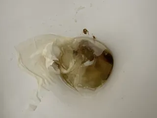 какашка