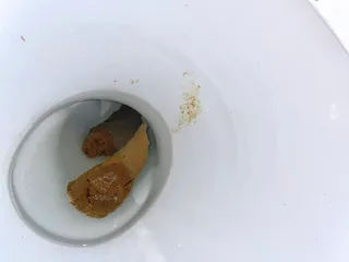 посрал