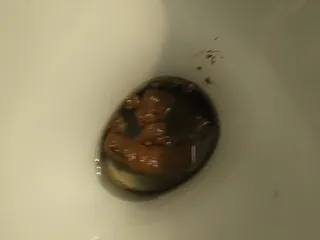 Вкусный ужин