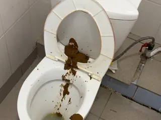 борян
