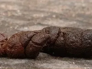Говно