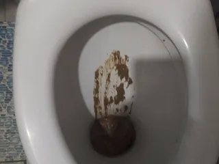 Пюре из школьной столовой
