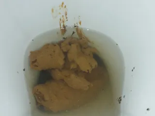 Мой дневной монстр хахаахахахах