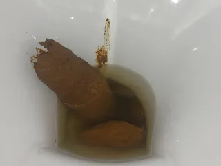 Мой какаш