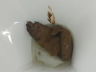 Утренняя