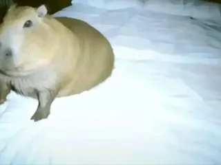 А где