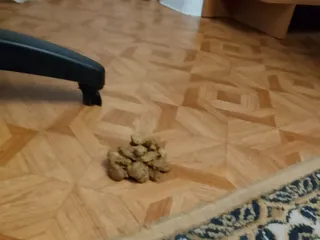 Мамми покакала