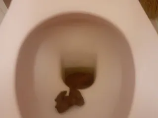 типичное ГОВНО