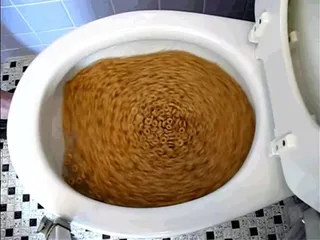 СУШКИ В УНИТАЗЕ