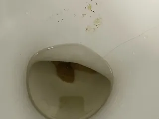 спрятались