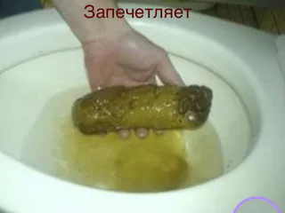 Запечетляет