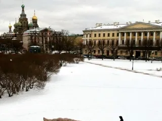 5 метровая какашка на территории Москвы