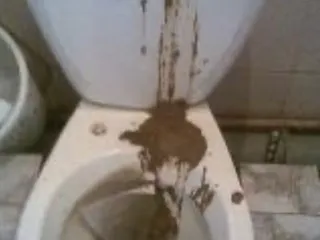 Колбоса
