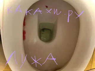 Лужа