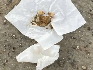 Конфетка