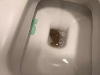 Хоббит