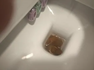 Скумбрия