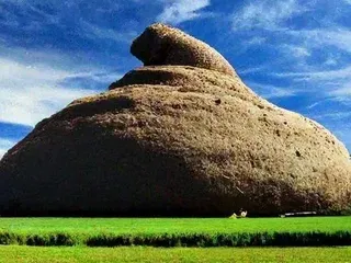 самая какашка в книге рекорда гиннеса
