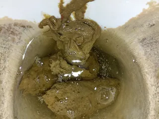 07.07.2026