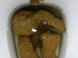 08.07.2026