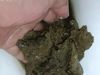 27.07.2026