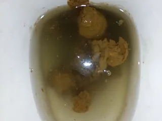 31.07.2026
