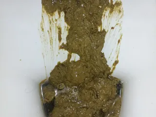 05.08.2026