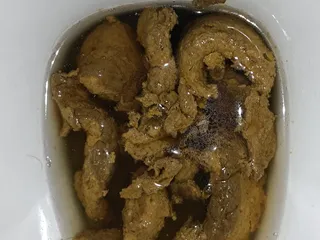 15.08.2026