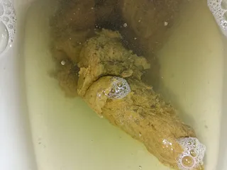18.08.2026