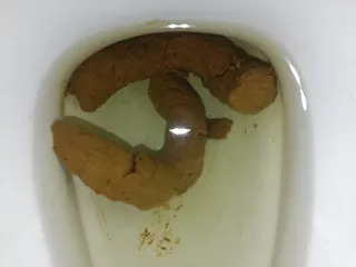 11.09.2026
