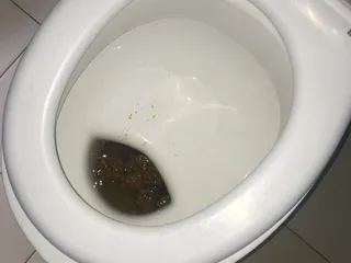Оборвансы