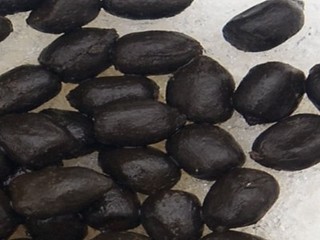 Огромные козьи какашки