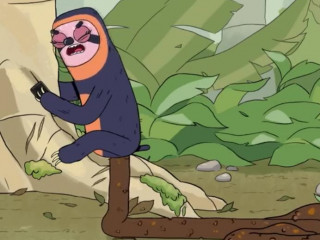 Ленивец срет