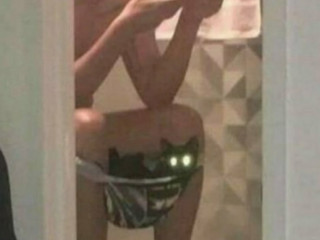 Кошачья